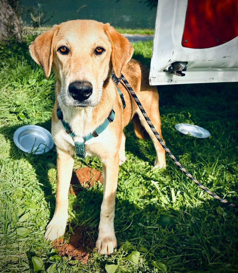 566658332_802767172659393_6642665083383814173_n