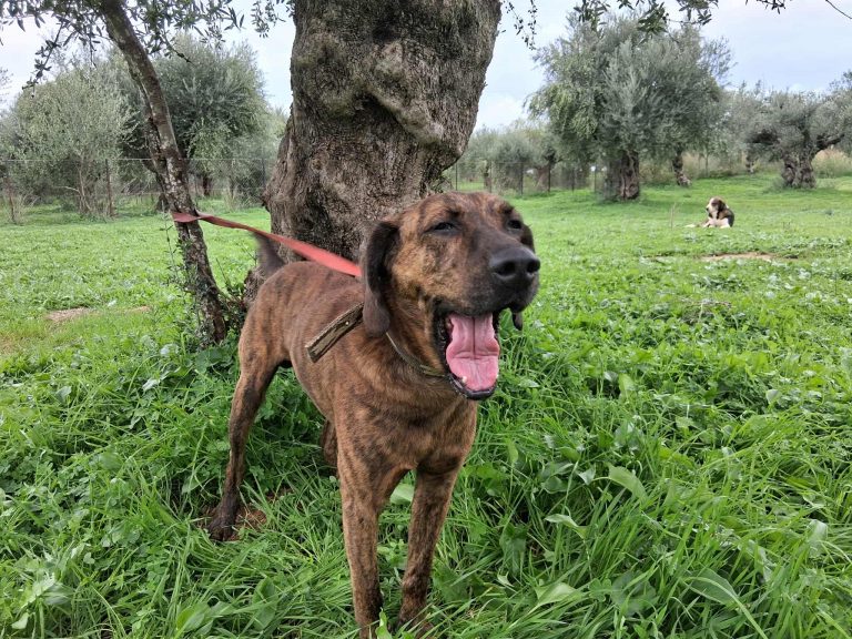 567762567_1837973300446166_9041383481401955938_n