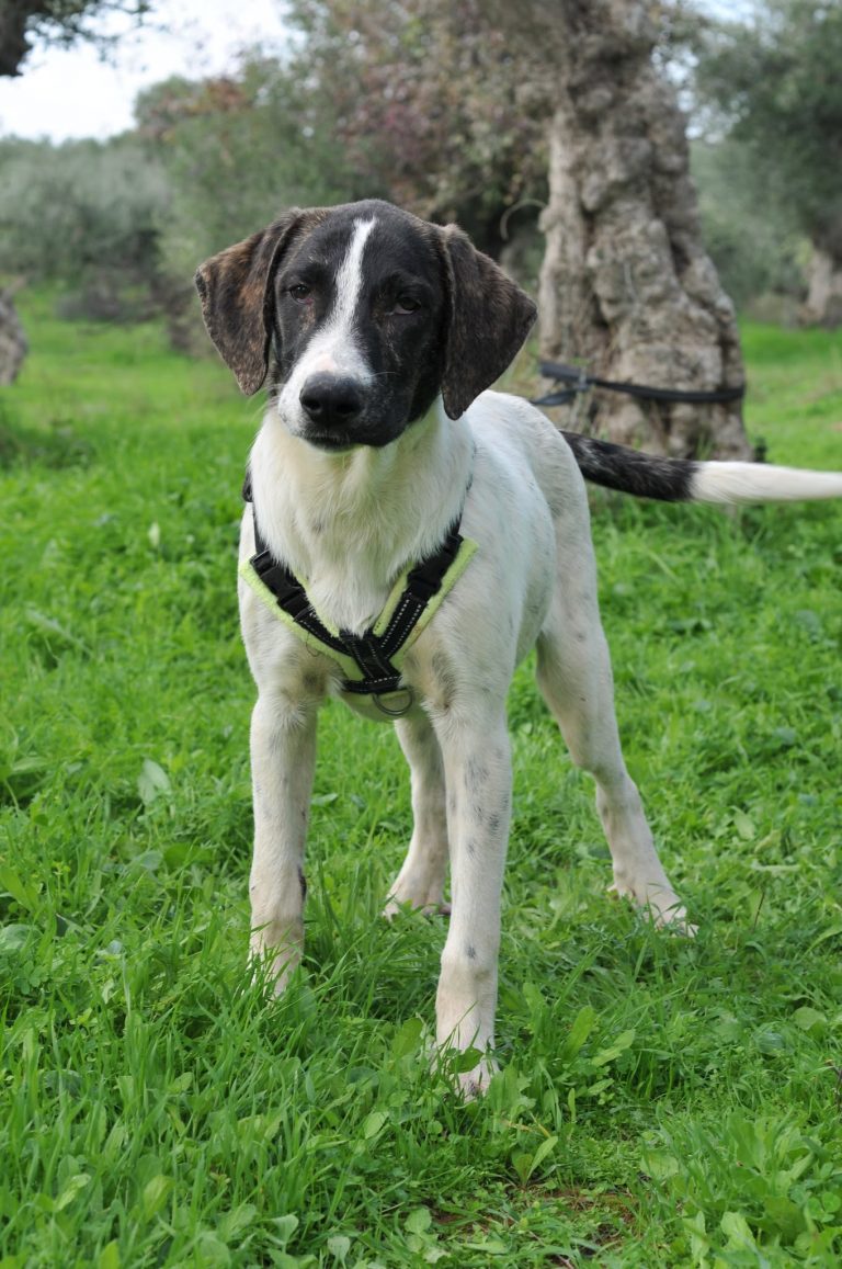 568192558_719309517230742_8856358199562704265_n