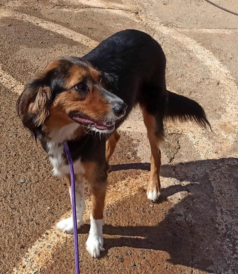 568585728_1240762198094137_2578750399187599178_n