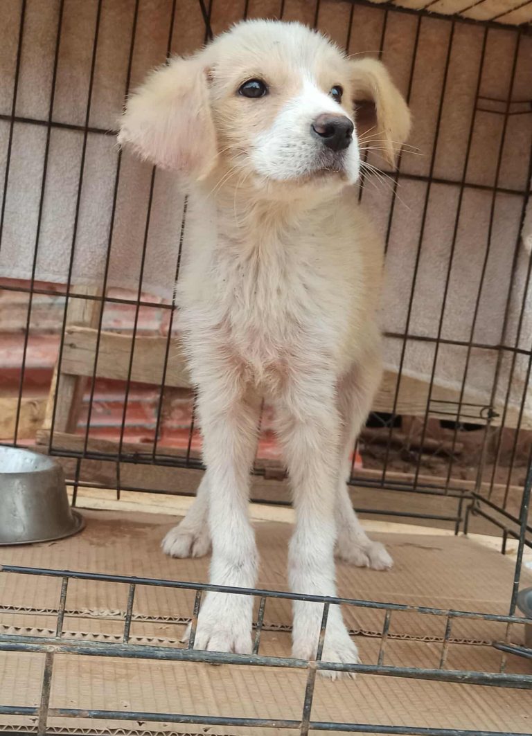 568646468_863186716063215_3626580918599262439_n