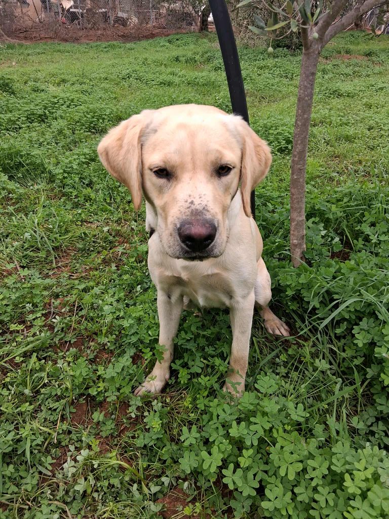 568652851_1507510837037333_1361797086038232124_n