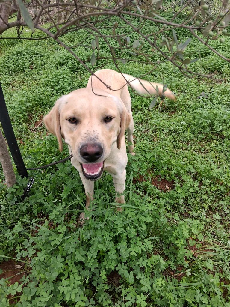 568685247_1918322385396755_7518486894186556639_n