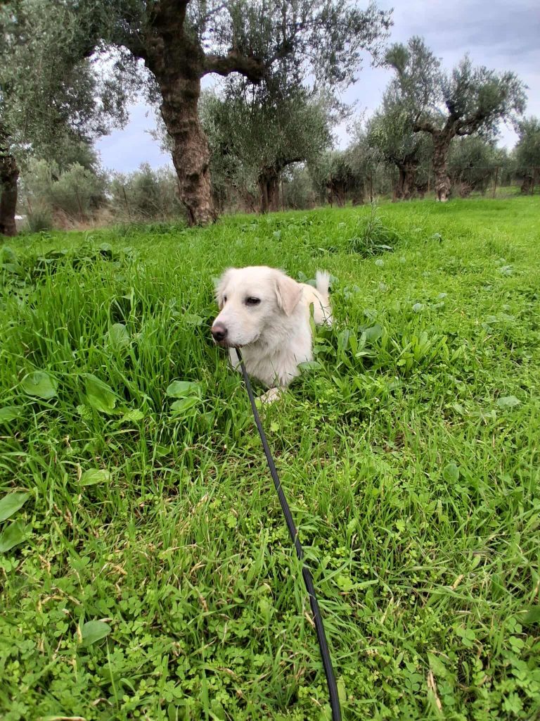 568687766_1457771918667441_1366358557863721086_n