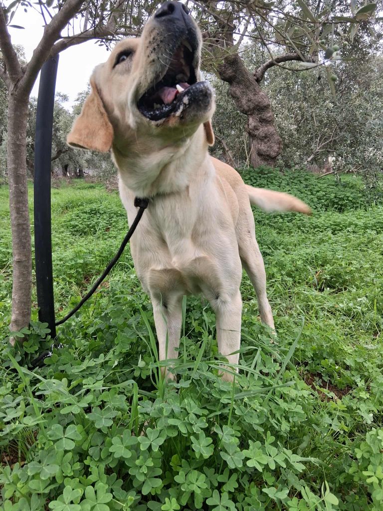 568716857_849774877389638_444663664772041313_n