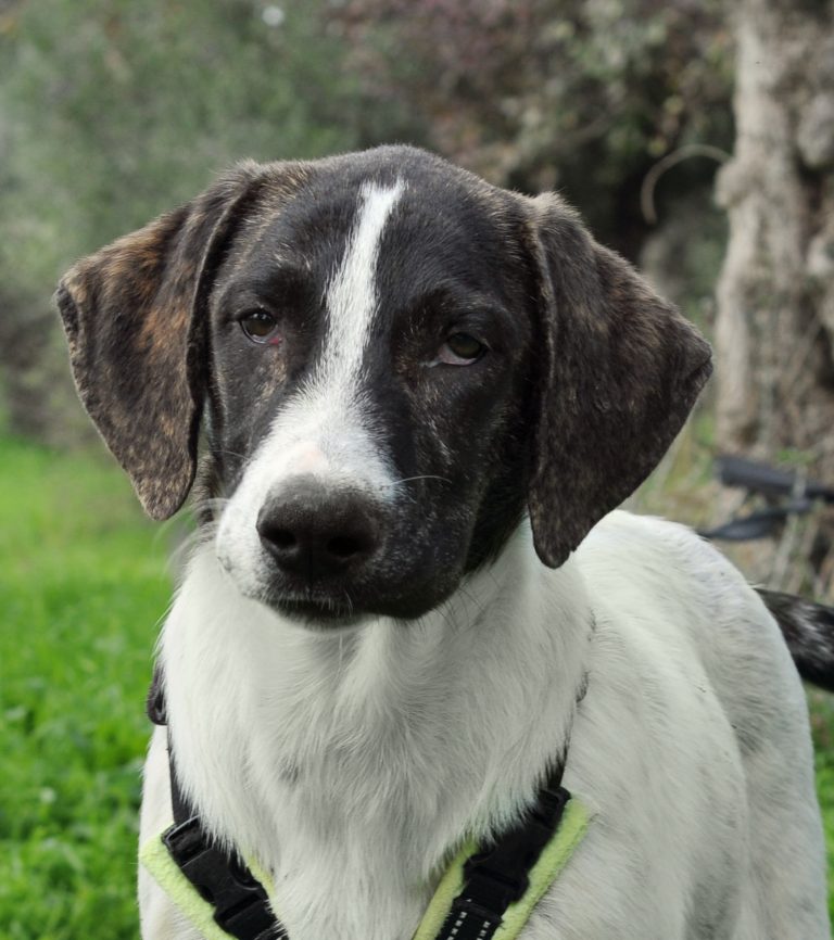 568746217_1467080121032238_741773563390552428_n