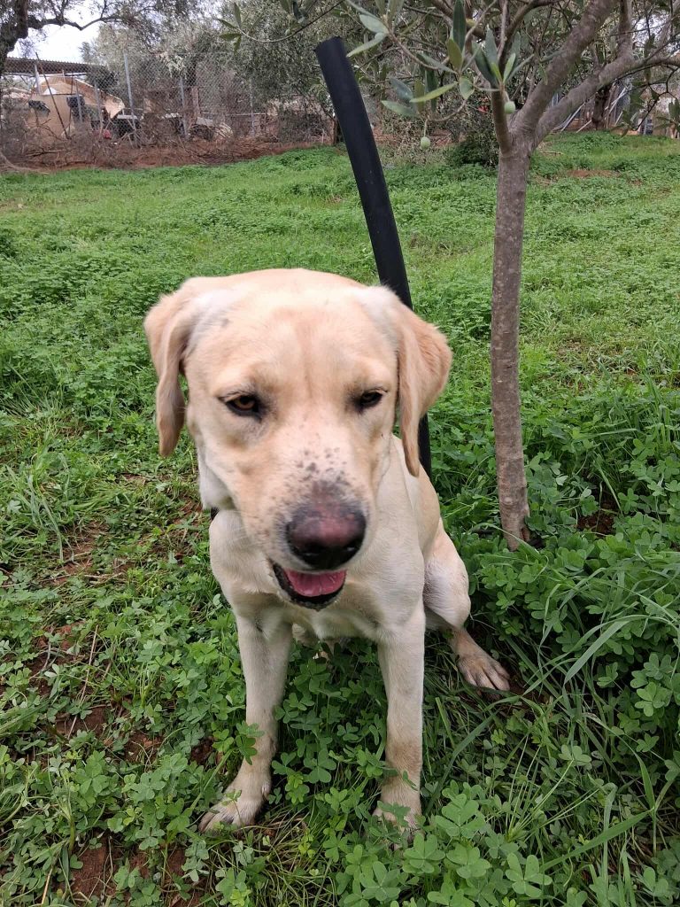 568767184_1371735961242456_3849904553239374582_n