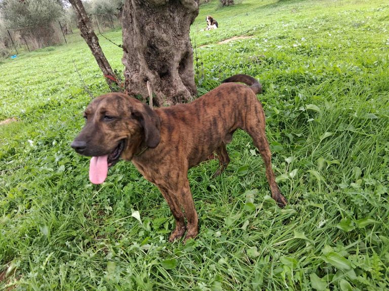 569213063_2029261957861270_1442020099269270574_n