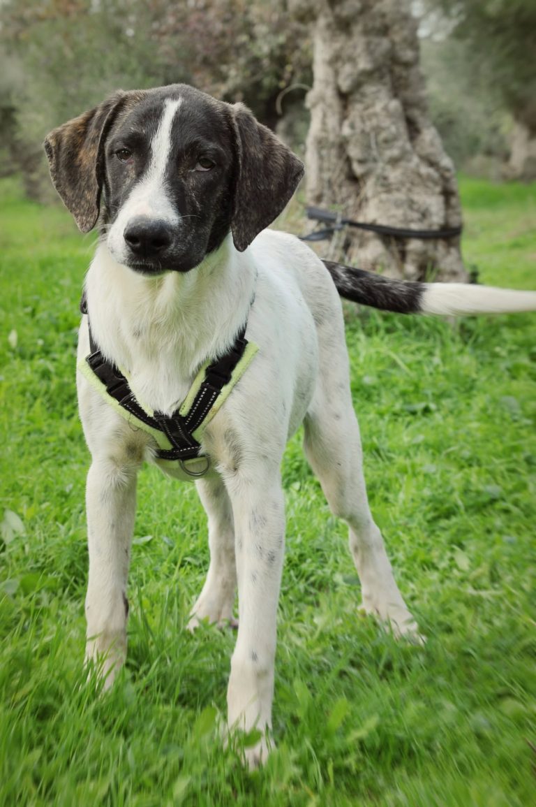 569838895_1960714831151975_2772610614861562124_n