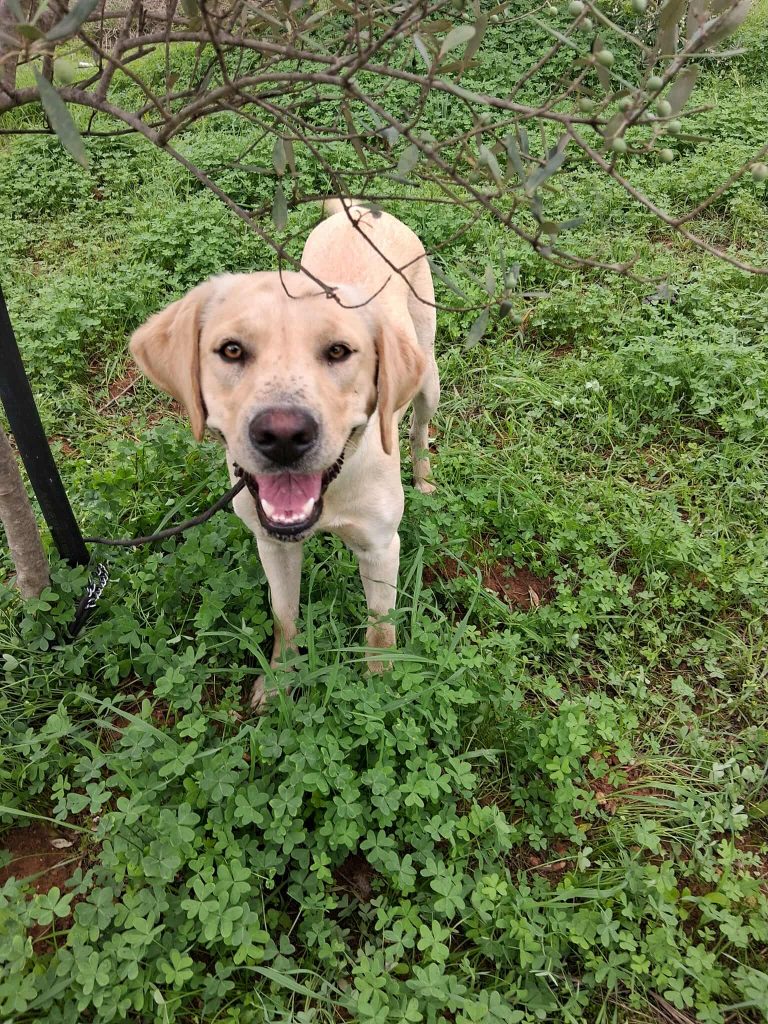 569909518_1309192460513869_7995147733862913712_n