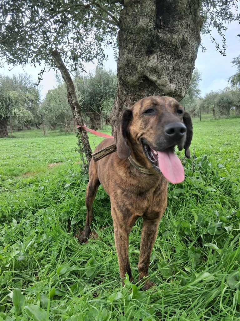 569910694_834897338922019_8755861808845894114_n