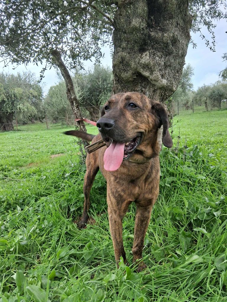 569927323_1157394569195230_2150320946536330647_n