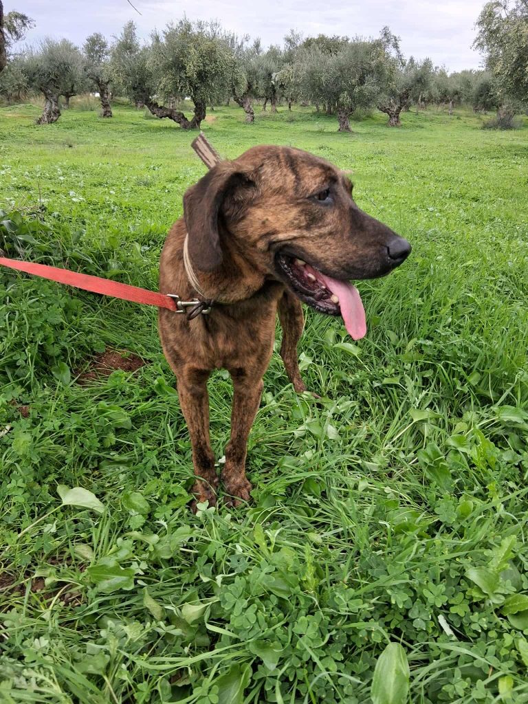 573055040_1328840922587944_8683478383246840337_n