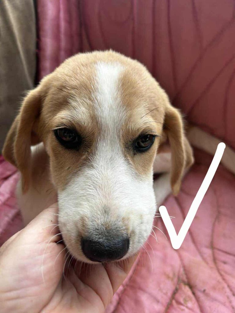 573302793_816548471081673_7172486560953748628_n