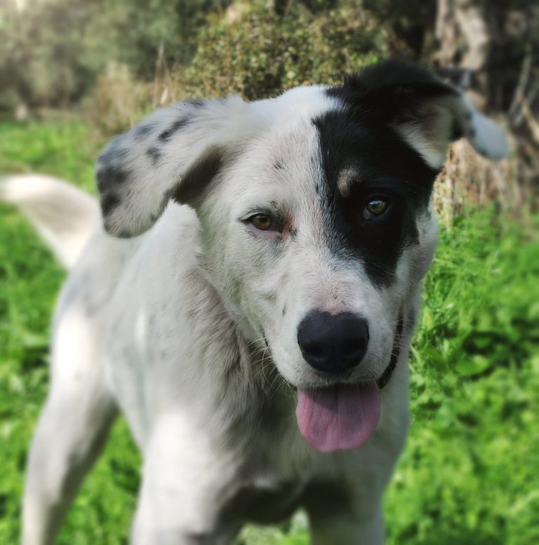 573740902_1385141836371973_6440818103590550849_n