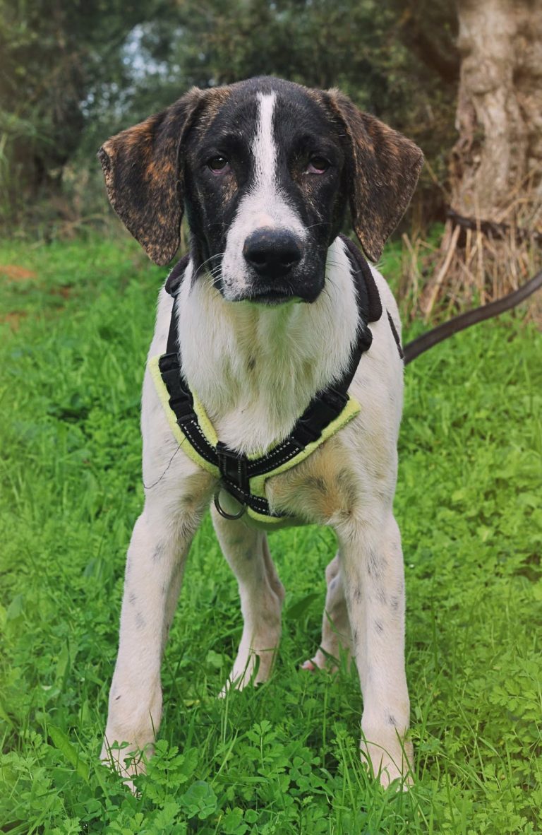 573838273_1168377528582441_3187541543538673956_n