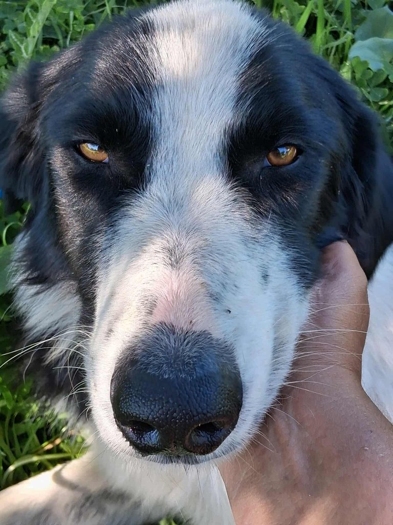 574205982_1973707126815401_5058900101746228030_n