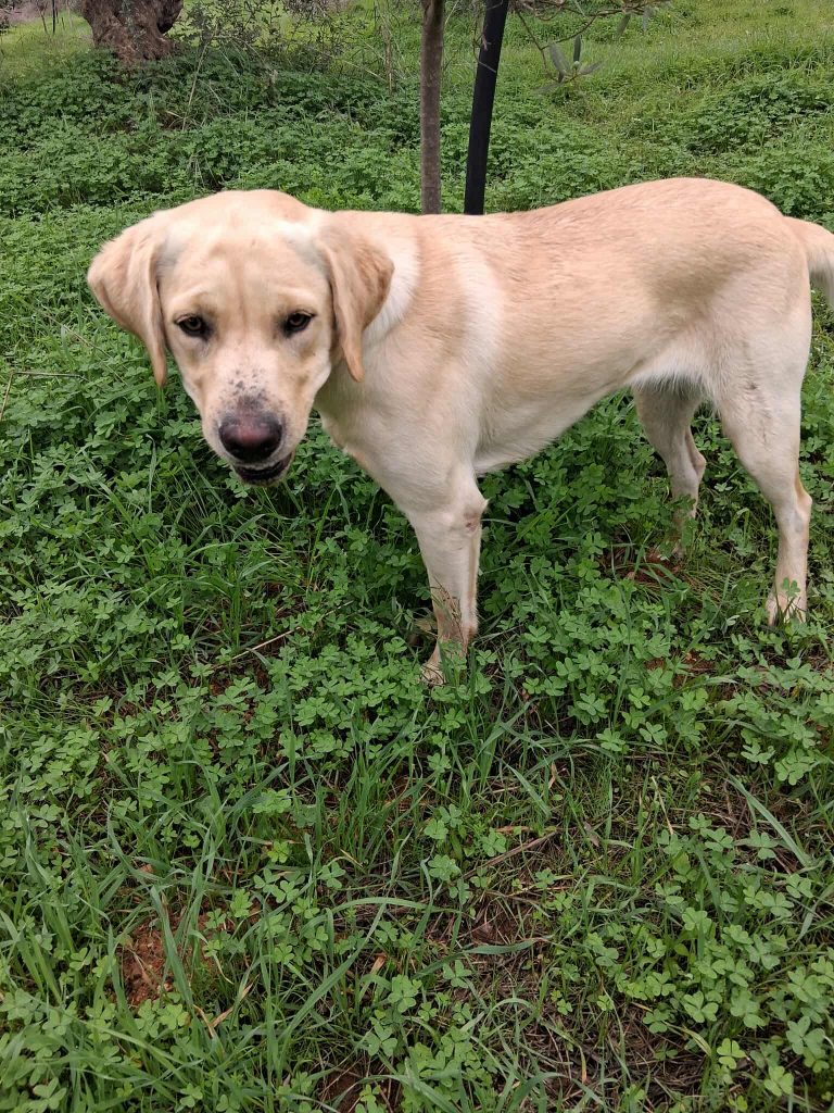 574205982_768842792852478_1028606945045684251_n