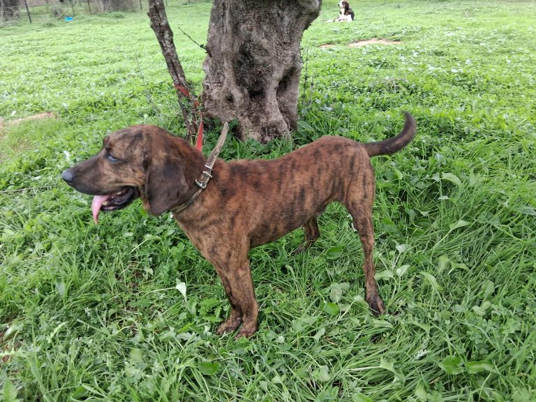 574586027_815046491265503_5116226311268009948_n