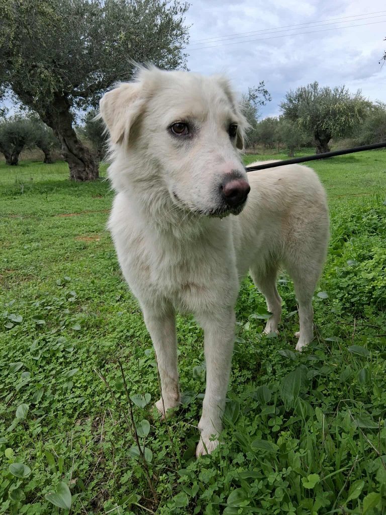 574591765_750683107993533_8235291942281811232_n (1)