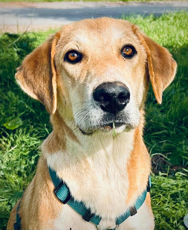 574626980_1875183913035292_2558993224108301727_n