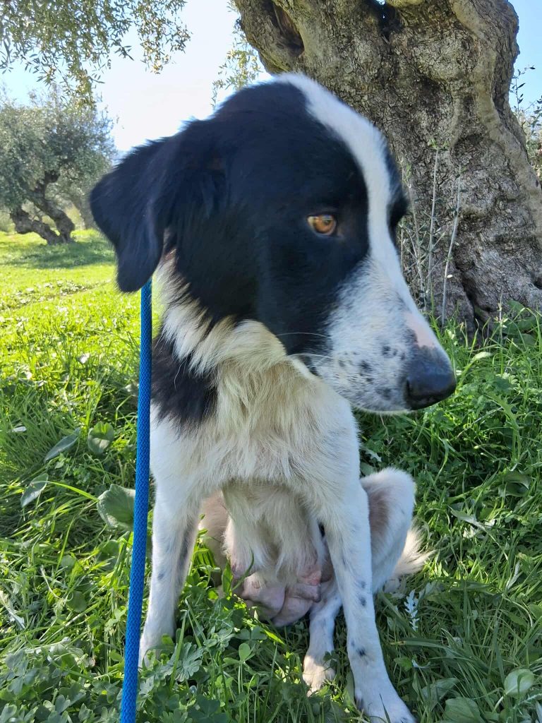 574632273_1576298260397155_1143900125801167409_n