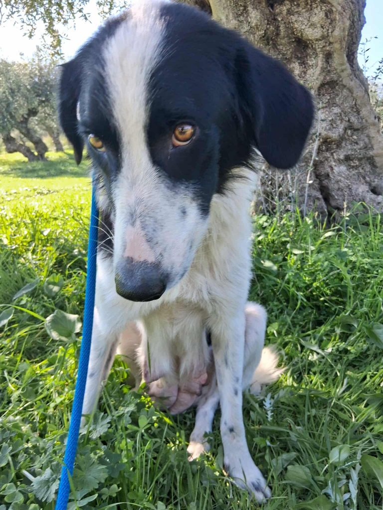 574636887_2499679037100266_120683381854788956_n