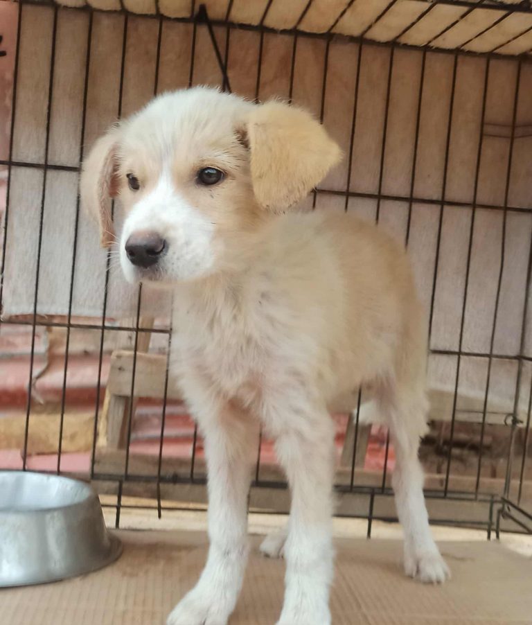 574769383_2647201512289586_7905601169826797632_n