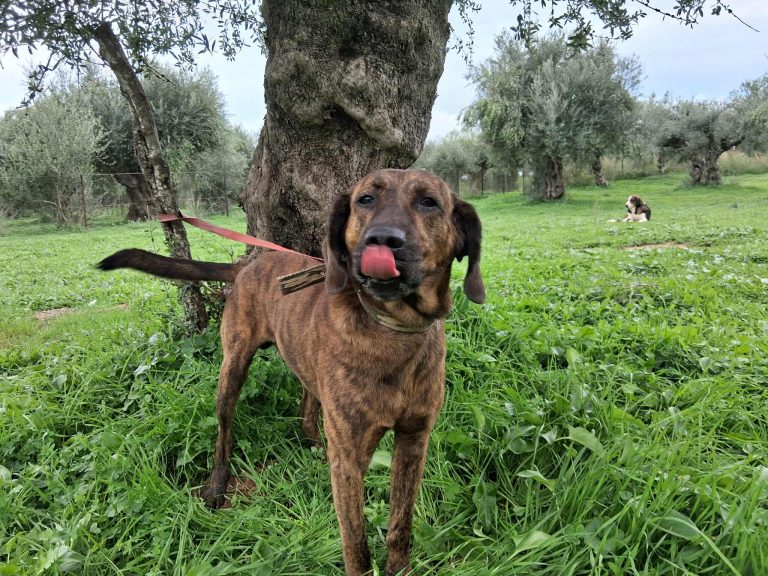 574984062_829154669502605_6793474336726517386_n