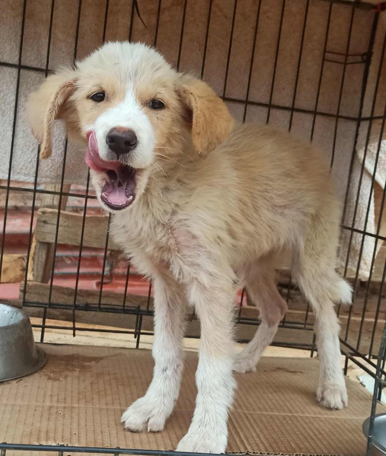 575090373_830416906164986_928172171020607325_n