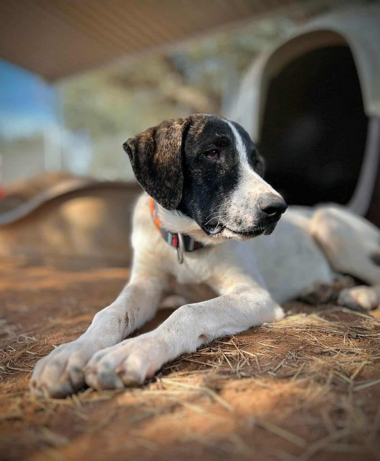 575152937_1492853118453505_4419226922869496599_n