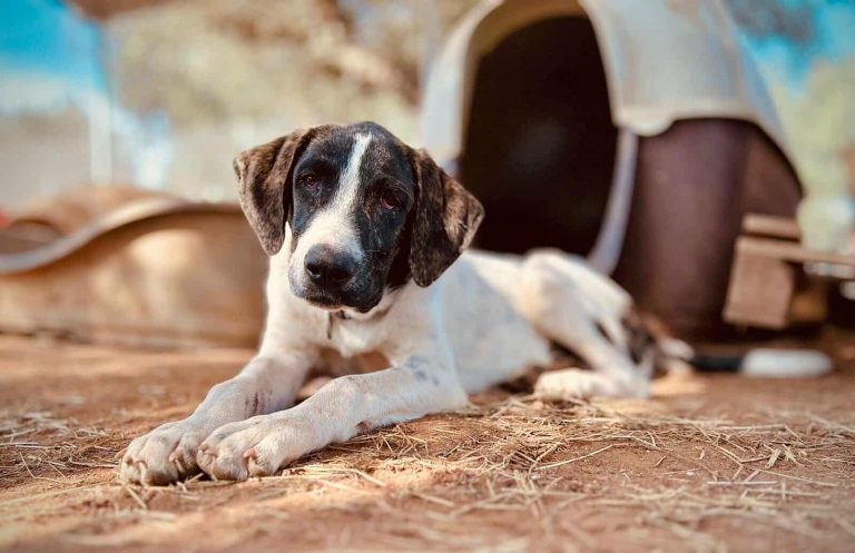 575162972_1886940368563058_4883515604734673007_n