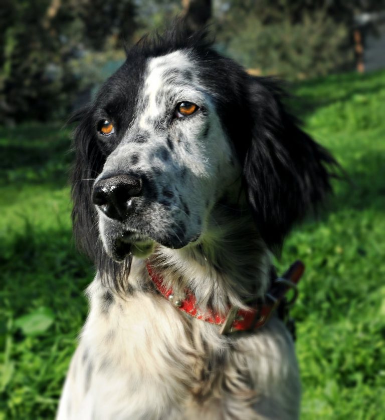 575205910_2032130353992090_5402973590349582052_n