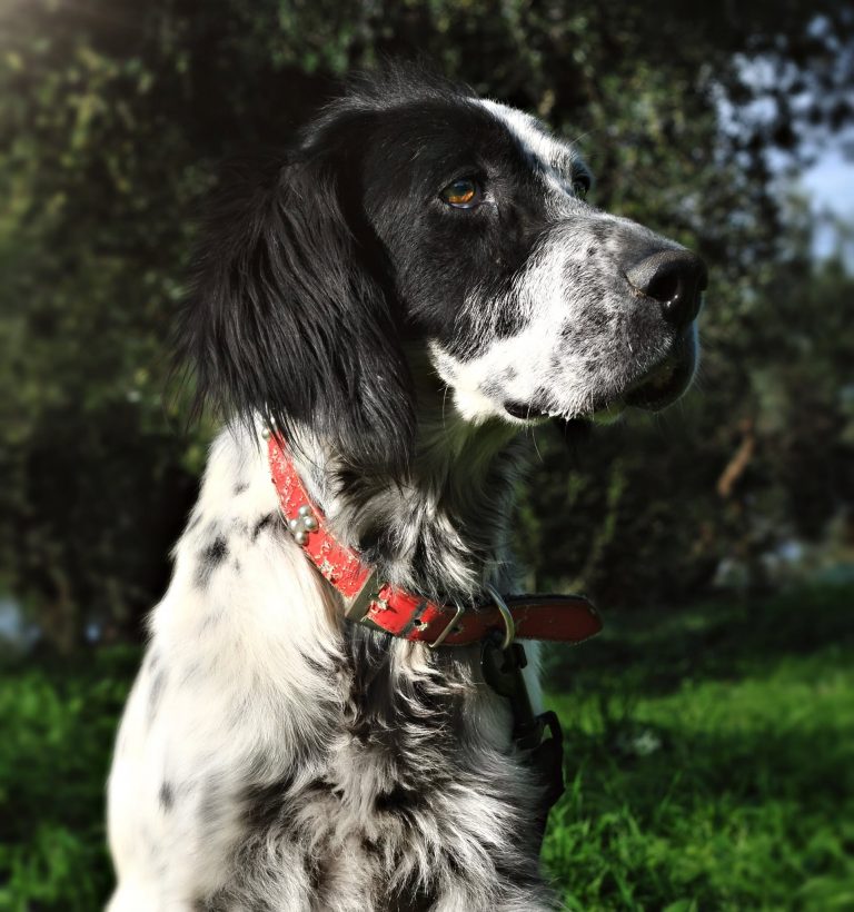 575206245_1992949888153858_3738257983139755307_n