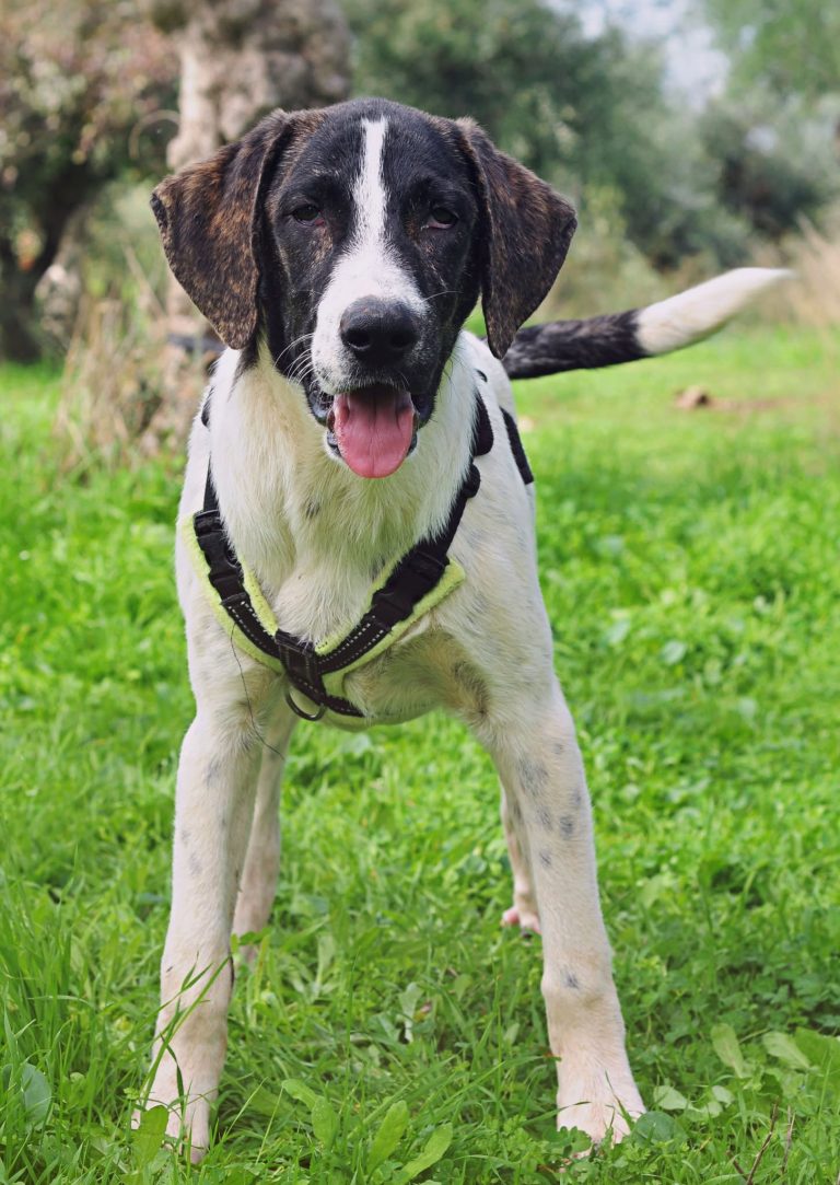 575241754_842441978169752_6043377901899421296_n