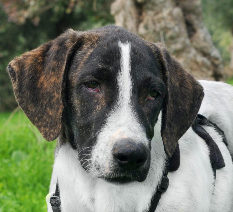 575453670_801804759511036_2539833902809747446_n