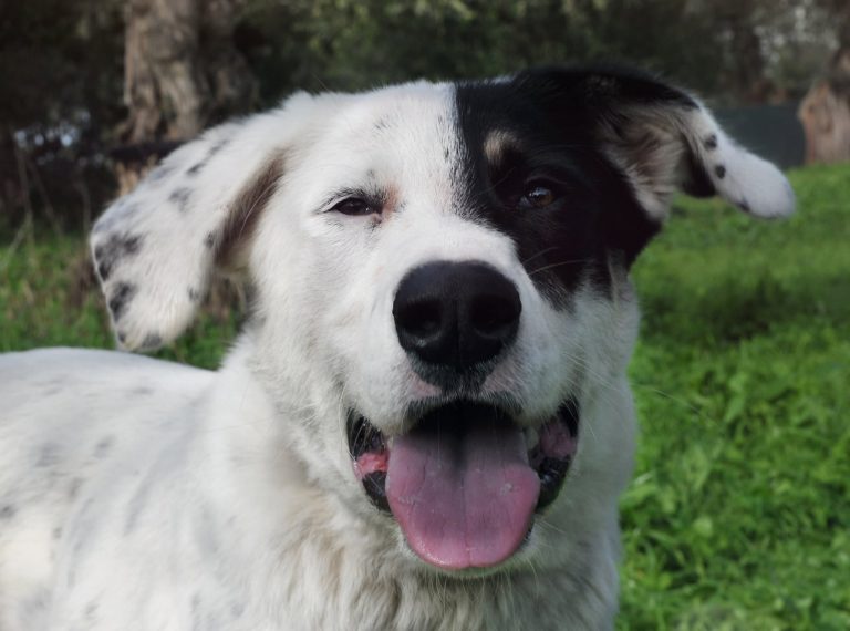 575474106_1342198084251417_7507542008052708855_n