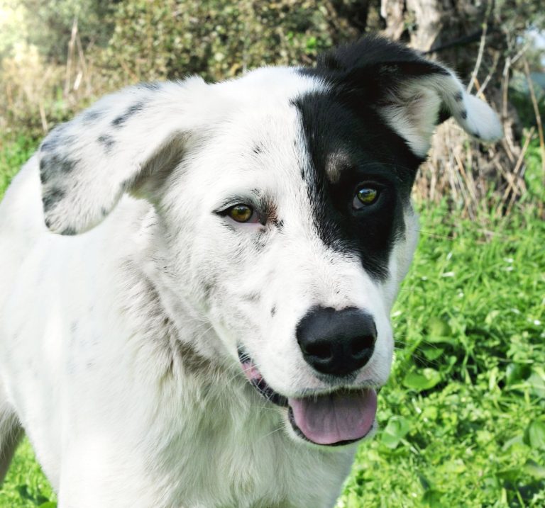 575588626_1596968017953051_4171080600940152946_n