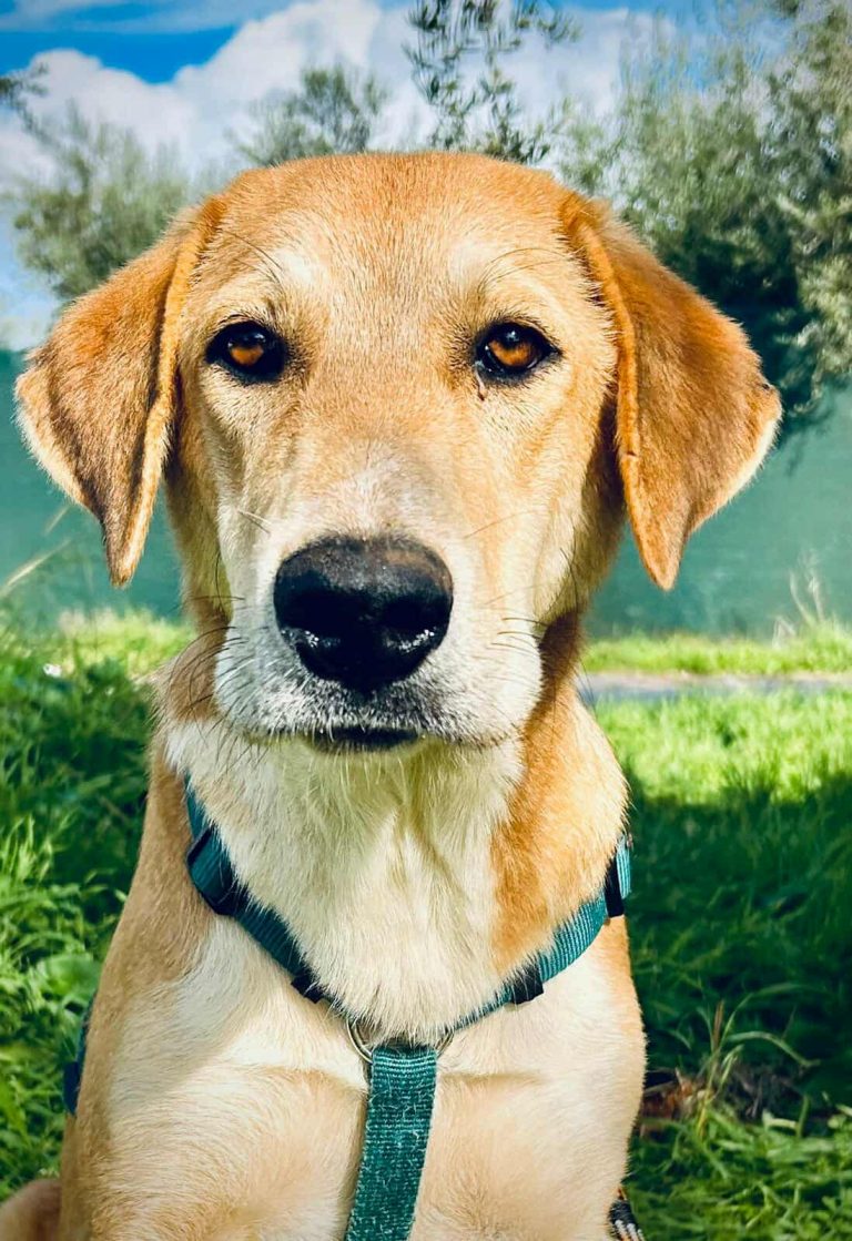 575614361_1570648390588811_7704960027635360256_n