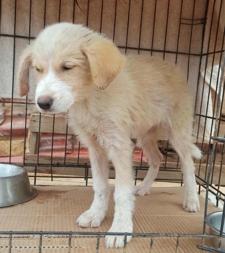 575725715_2962779330574091_1493145430919811118_n