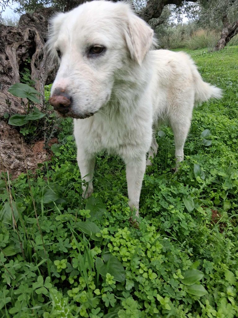 575726523_1215463183750761_8113554491890106484_n (1)