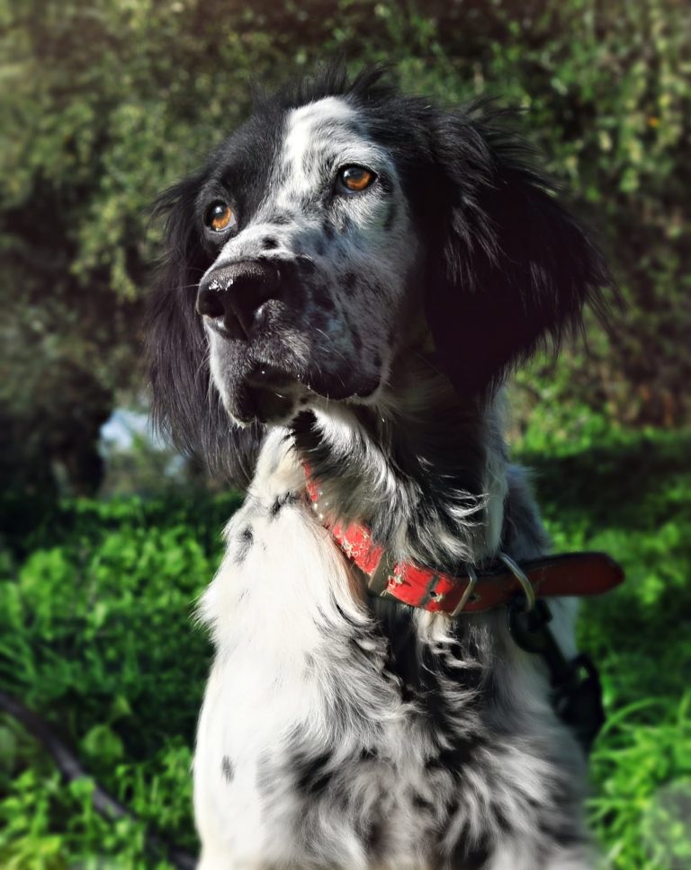 575745336_697619496722777_4402389099120012408_n