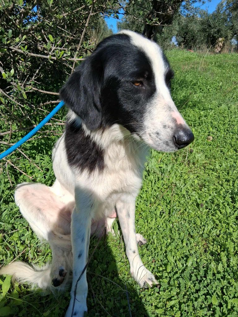 575761773_1137418821909048_4269735944057294155_n