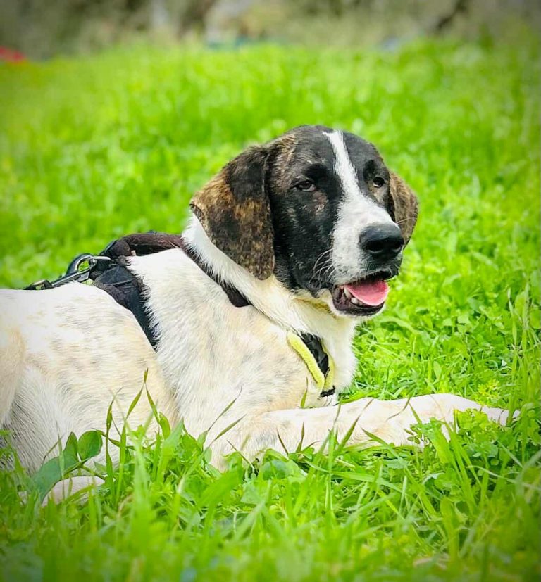 575799640_24296403920033291_8695076761830937086_n