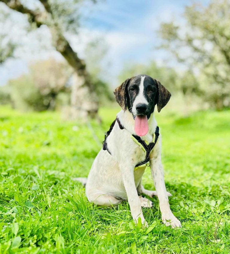 576107109_809876428615098_9057643544430938900_n