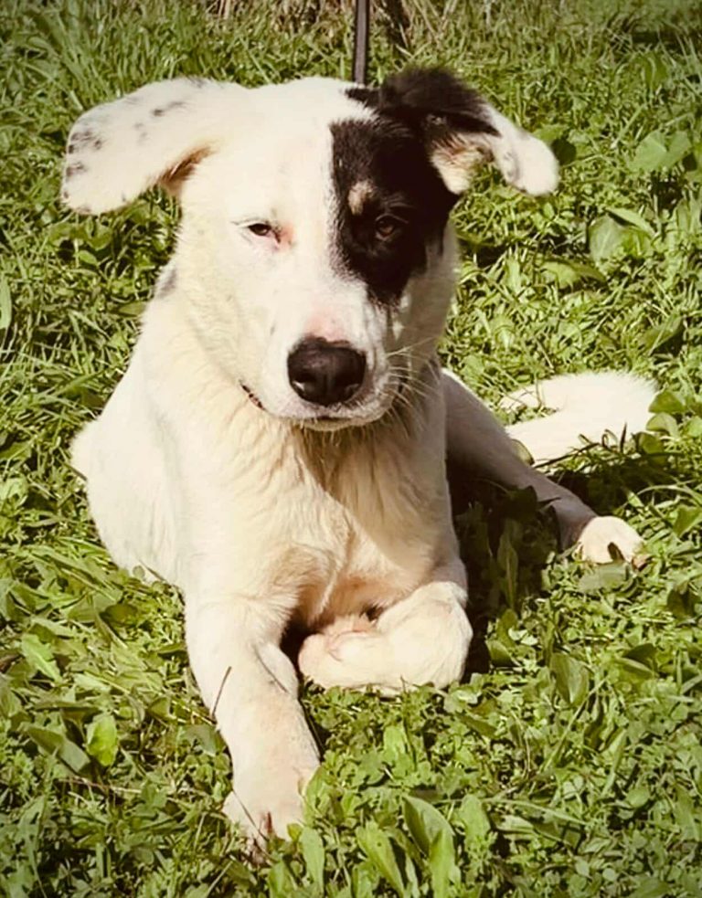 576171578_1948899082354262_7520070671024236158_n