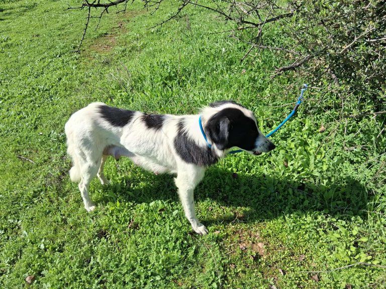 576354772_2315710755516669_7045844376739716811_n