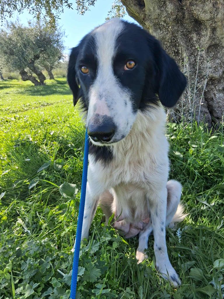 576572225_1158688709119861_3524374341914894184_n