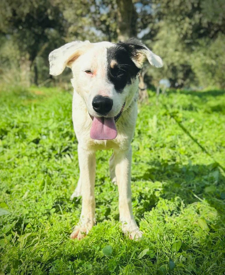 576601560_1332209818401410_7850183715812990812_n