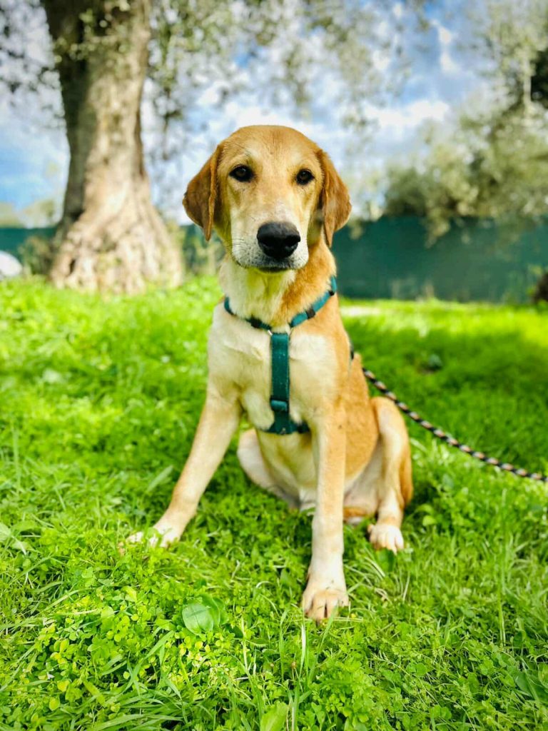 576960684_792610337012526_186461985843070655_n